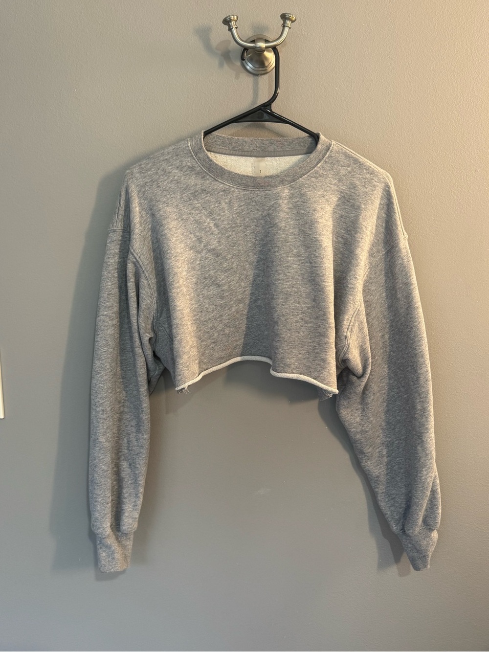 Aritzia The Constant grey cropped sweatshirt